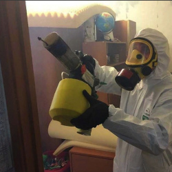 Уничтожение клопов в квартире. Касимов